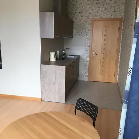 Domina Apartment Vilnius