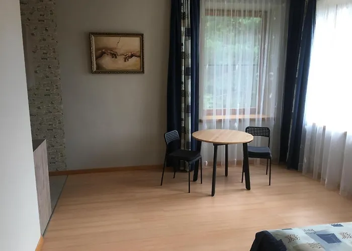 Apartamento Domina Vilna