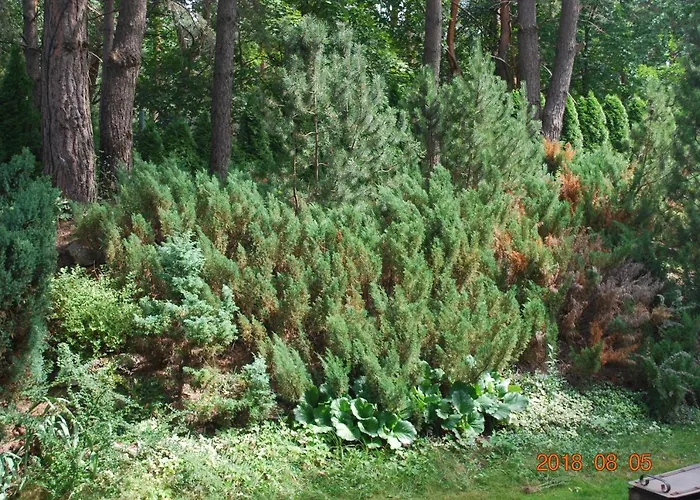 Domina Appartement *