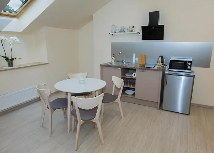 Apartment Domina Vilnius